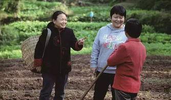 张雪梅图片,镜头下的美丽瞬间