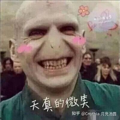 哈利波特对话表情包,重温魔法世界的欢乐时光