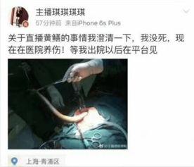 女主播黄鳝门事件视频,网络直播的道德困境与法律挑战