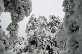 天竺照片,异域风情尽收眼底