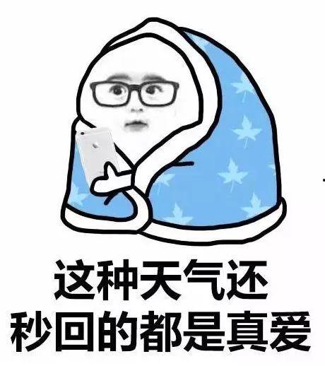 pc冷冷表情包